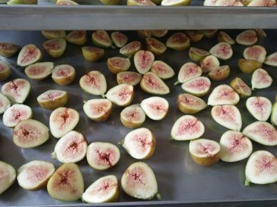 Вакуумируйте замораживание нержавеющей стали промышленное - высушенную машину плода